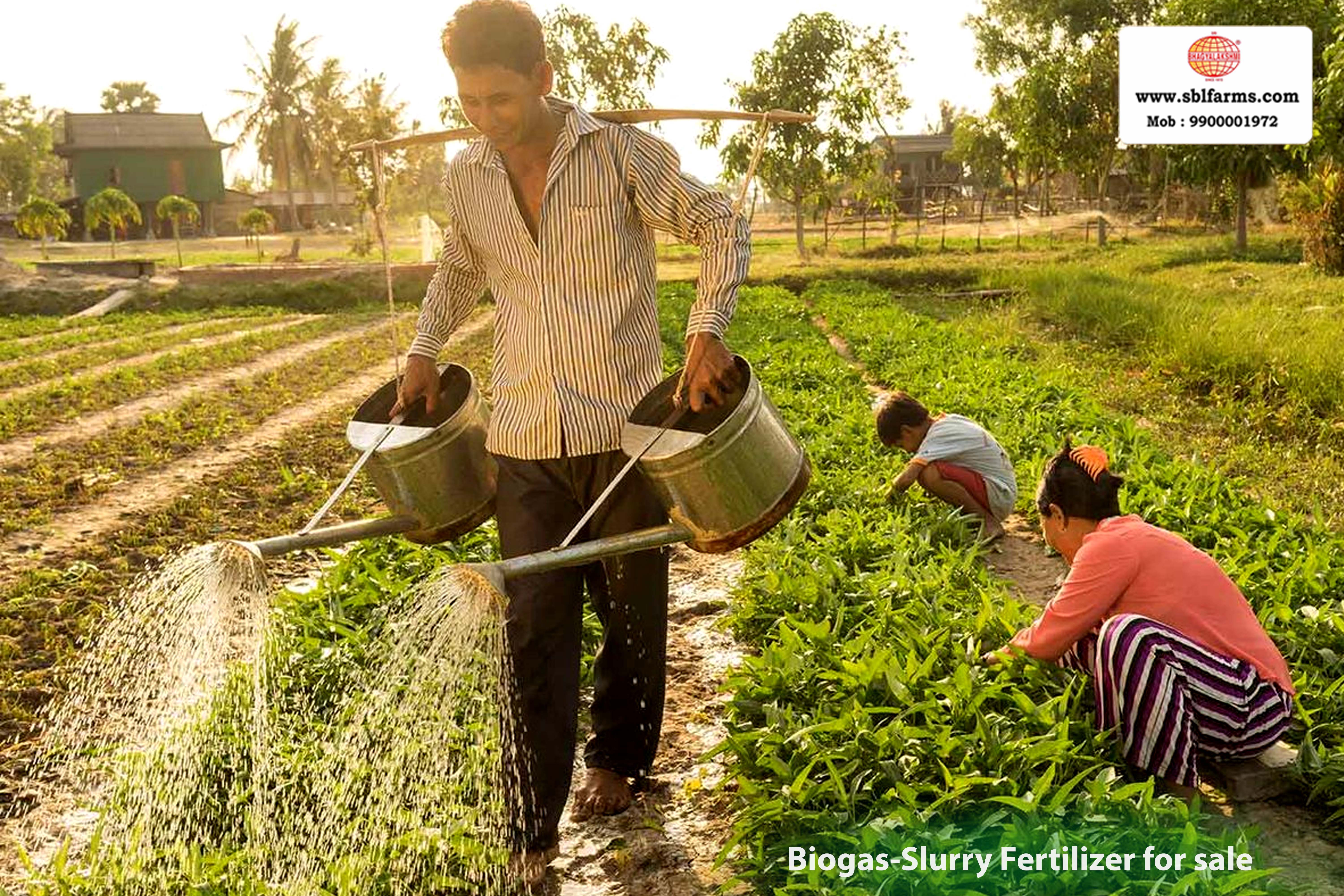 Sbl Farms Green walls and Living walls, Vertical Garden, Bio Curtains